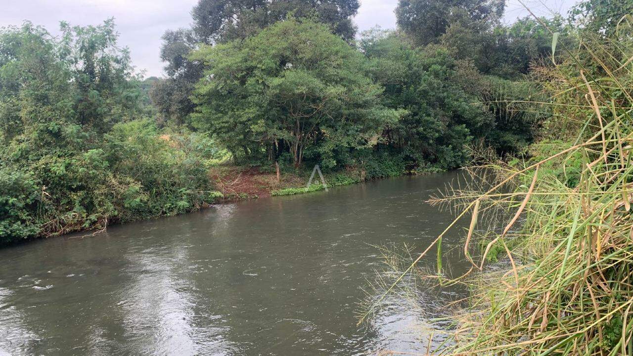 Imóveis Rurais para à venda no Bairro Área Rural de Toledo em TOLEDO: 