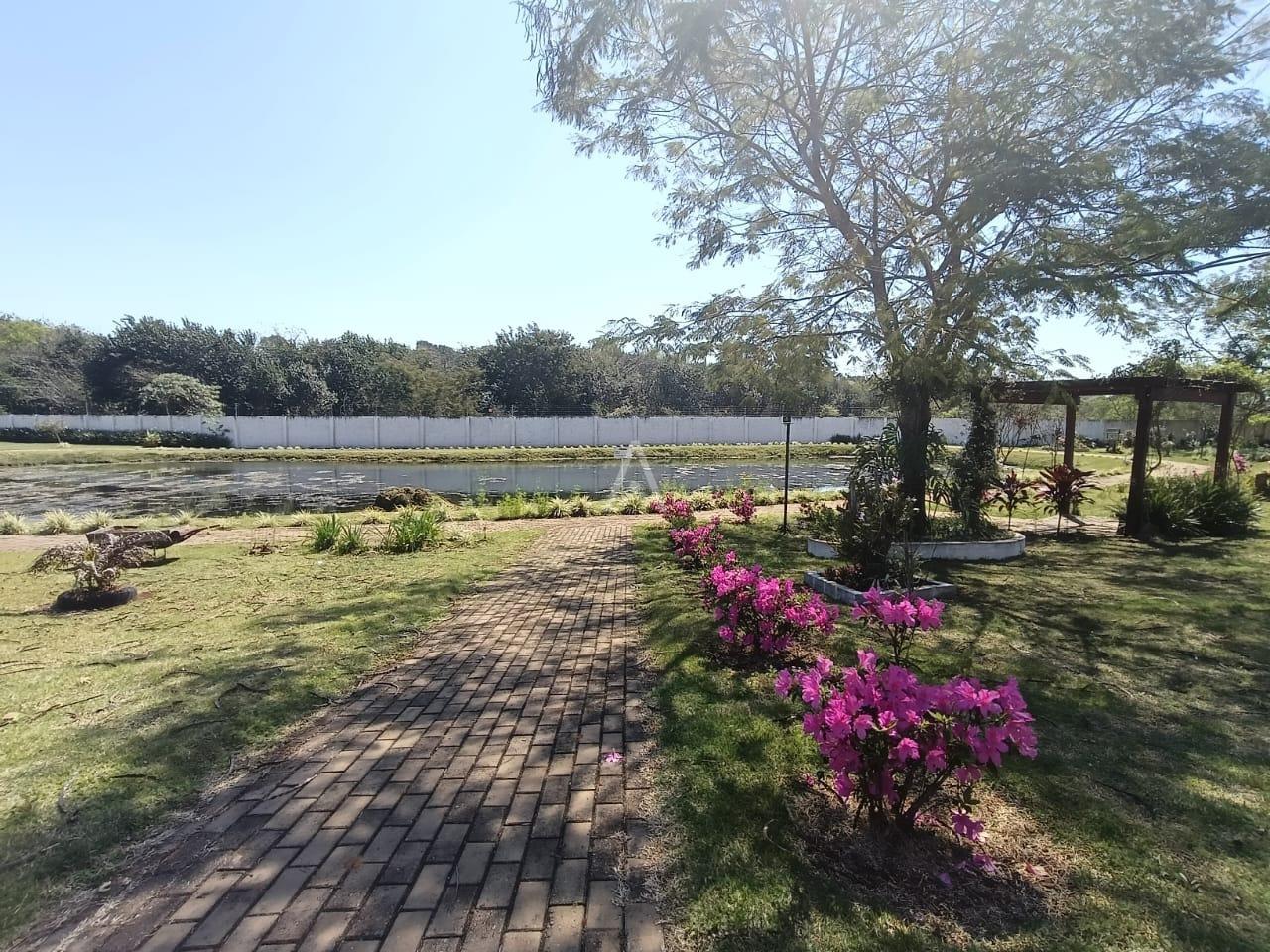 Terreno para à venda no Bairro UNIVERSITARIO em CASCAVEL: 