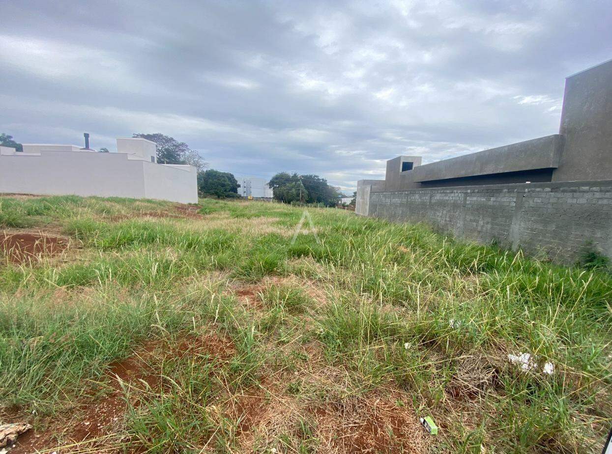 Terreno para à venda no Bairro JARDIM PANCERA em TOLEDO:
