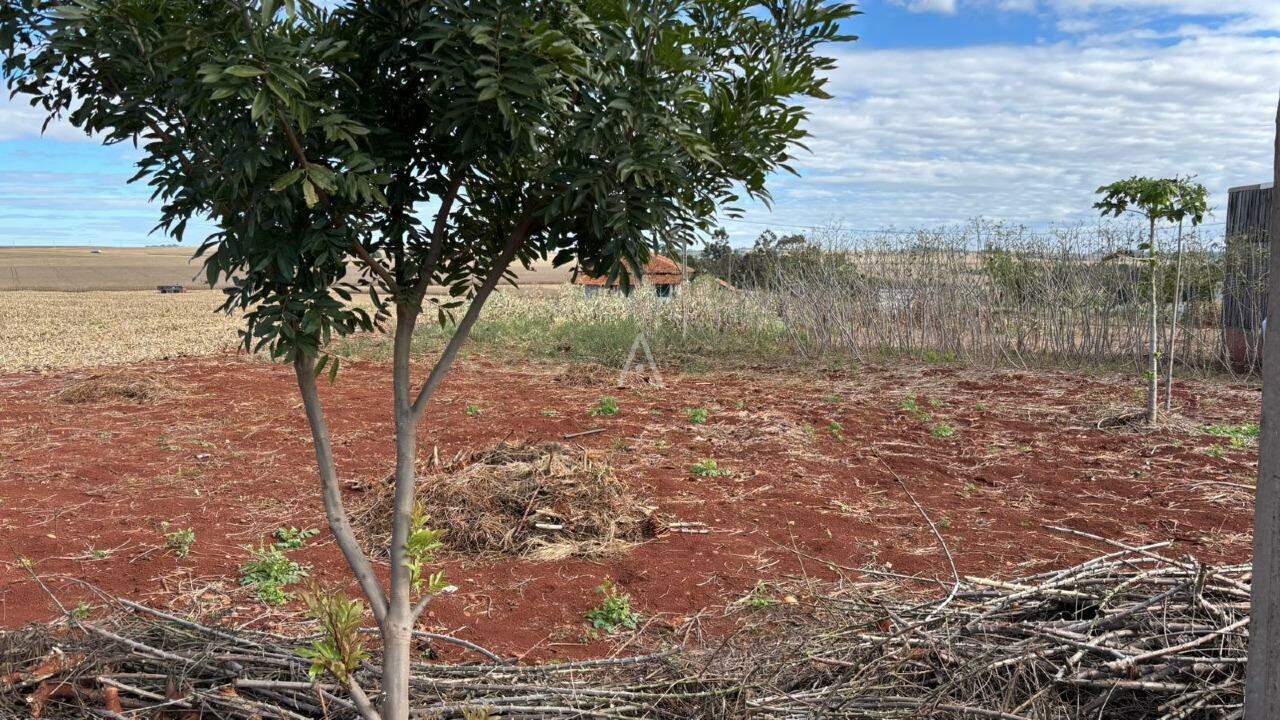 Terreno para à venda no Bairro BRAGANTINA em ASSIS CHATEAUBRIAND: