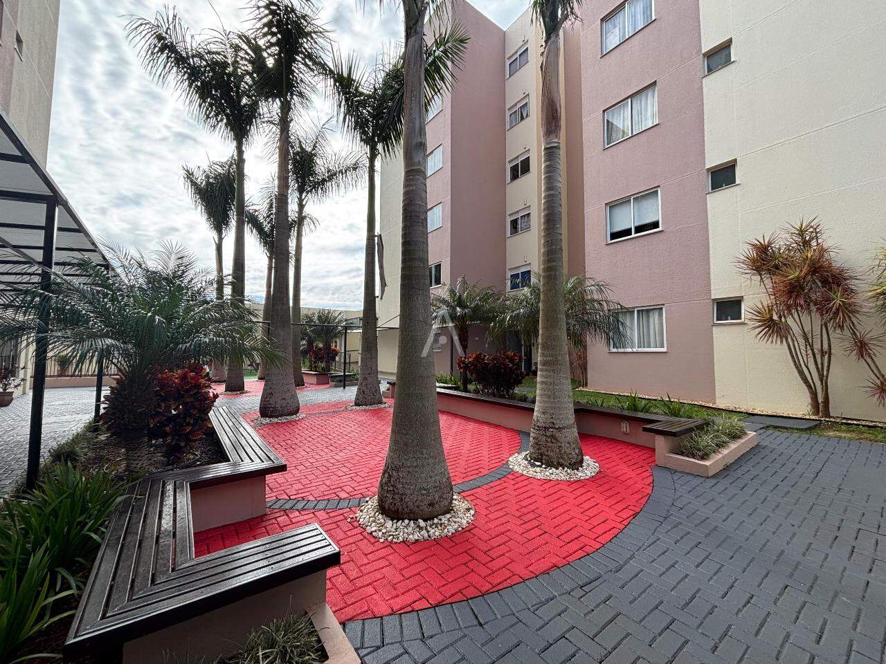 Apartamento para para aluguel no Bairro PACAEMBU em CASCAVEL: 