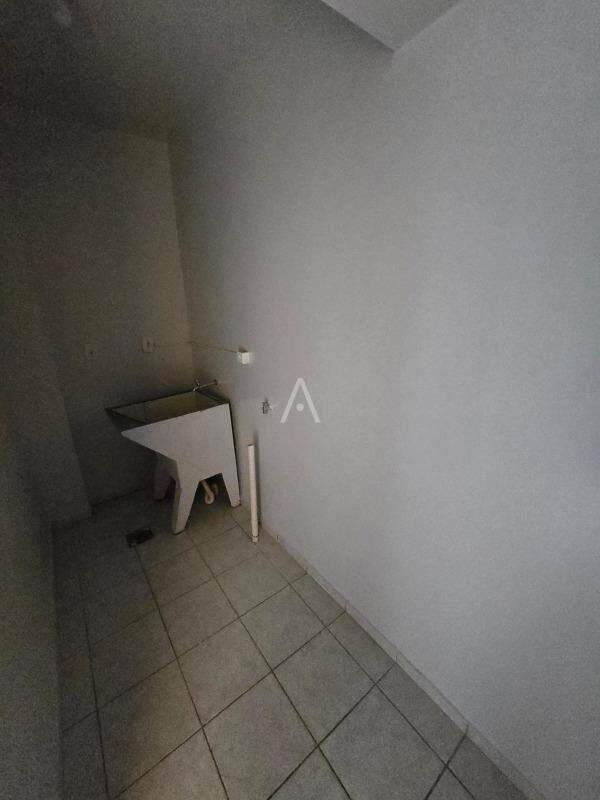 Apartamento para para aluguel no Bairro CENTRO em TOLEDO: 