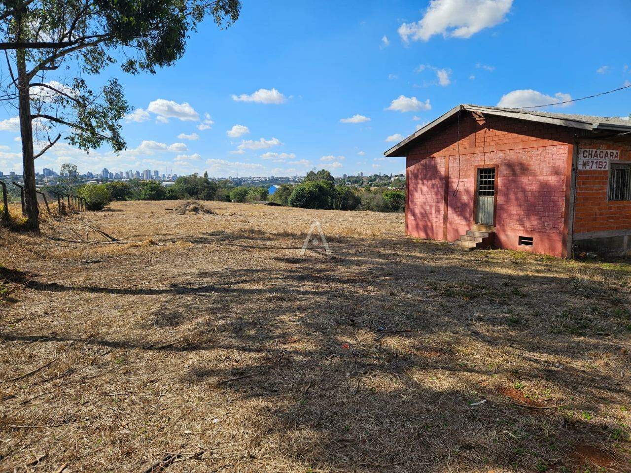 Terreno para à venda no Bairro 14 DE NOVEMBRO em CASCAVEL: 