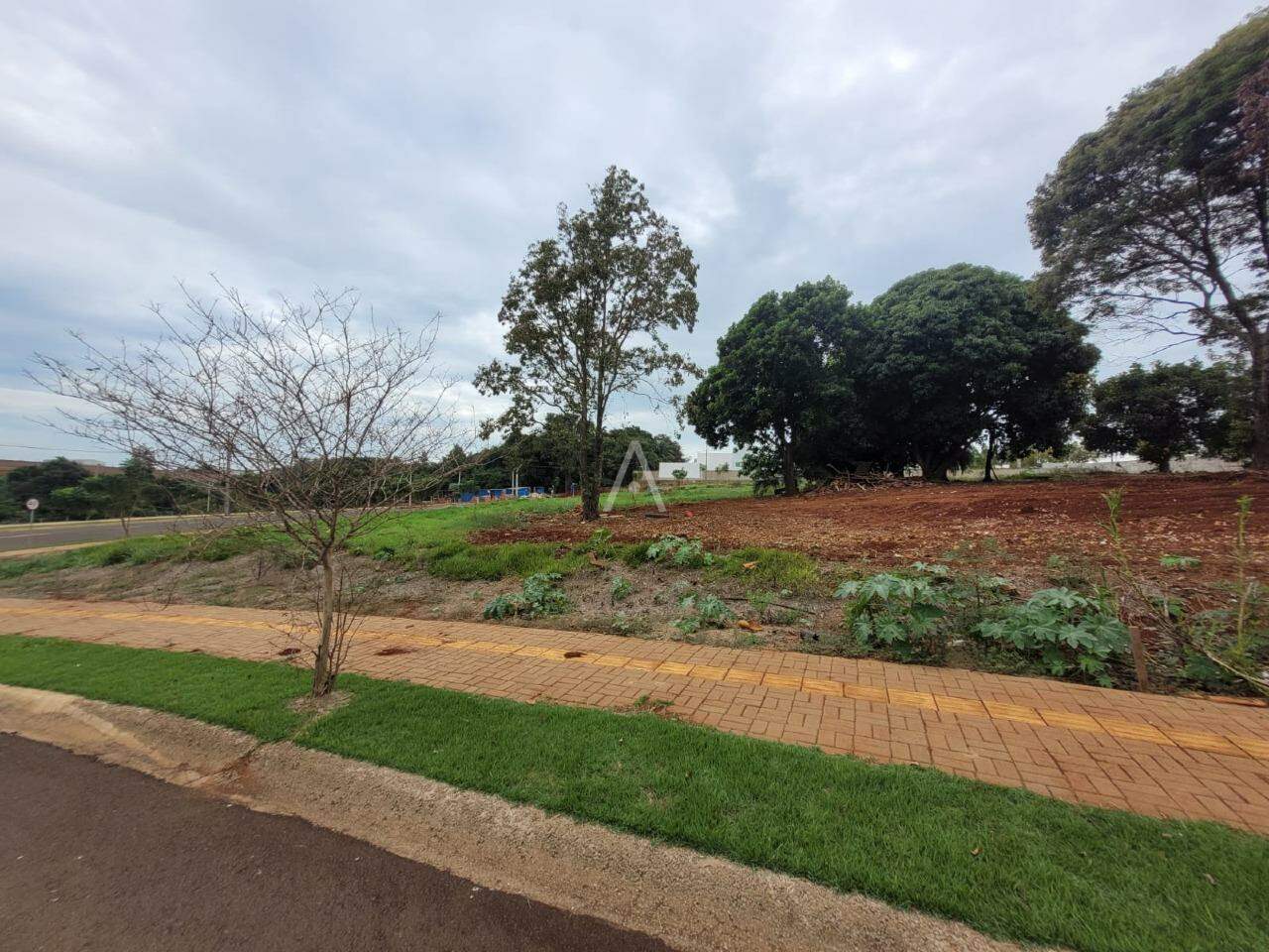 Terreno para à venda no Bairro VILA INDUSTRIAL em TOLEDO: 