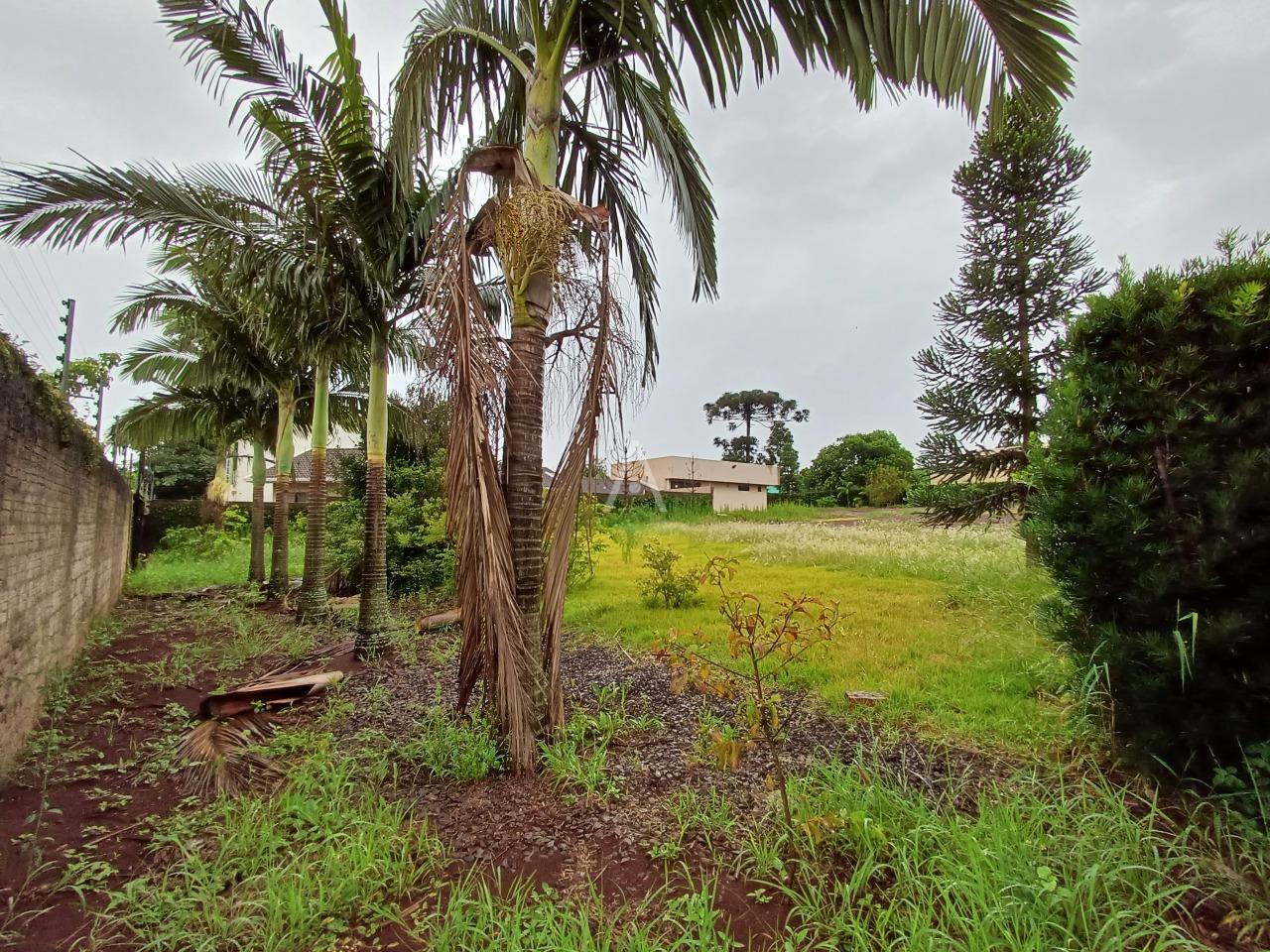 Terreno para à venda no Bairro NOVA YORK em CASCAVEL: 