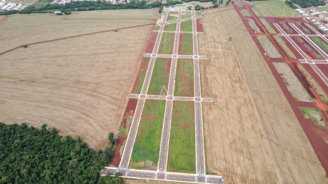 Terreno para à venda no Bairro Cristo Rei em TOLEDO: