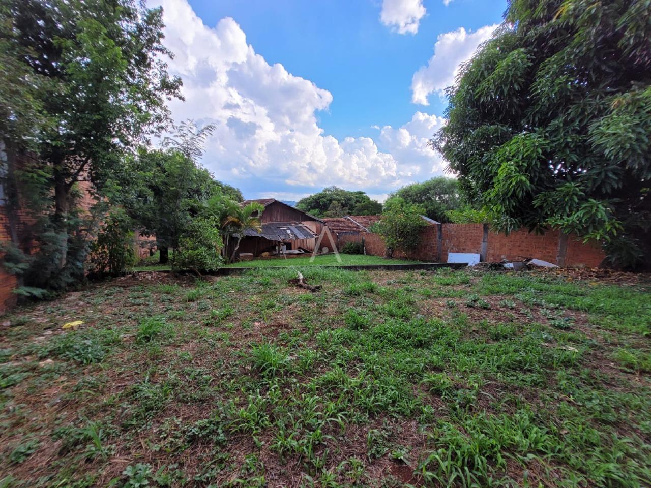 Terreno para à venda no Bairro JARDIM CONCORDIA em TOLEDO: 