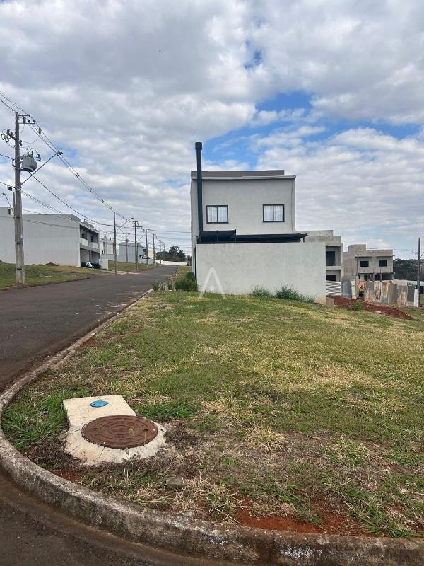 Terreno para à venda no Bairro UNIVERSITARIO em CASCAVEL: 