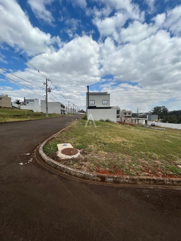 Terreno para à venda no Bairro UNIVERSITARIO em CASCAVEL: 