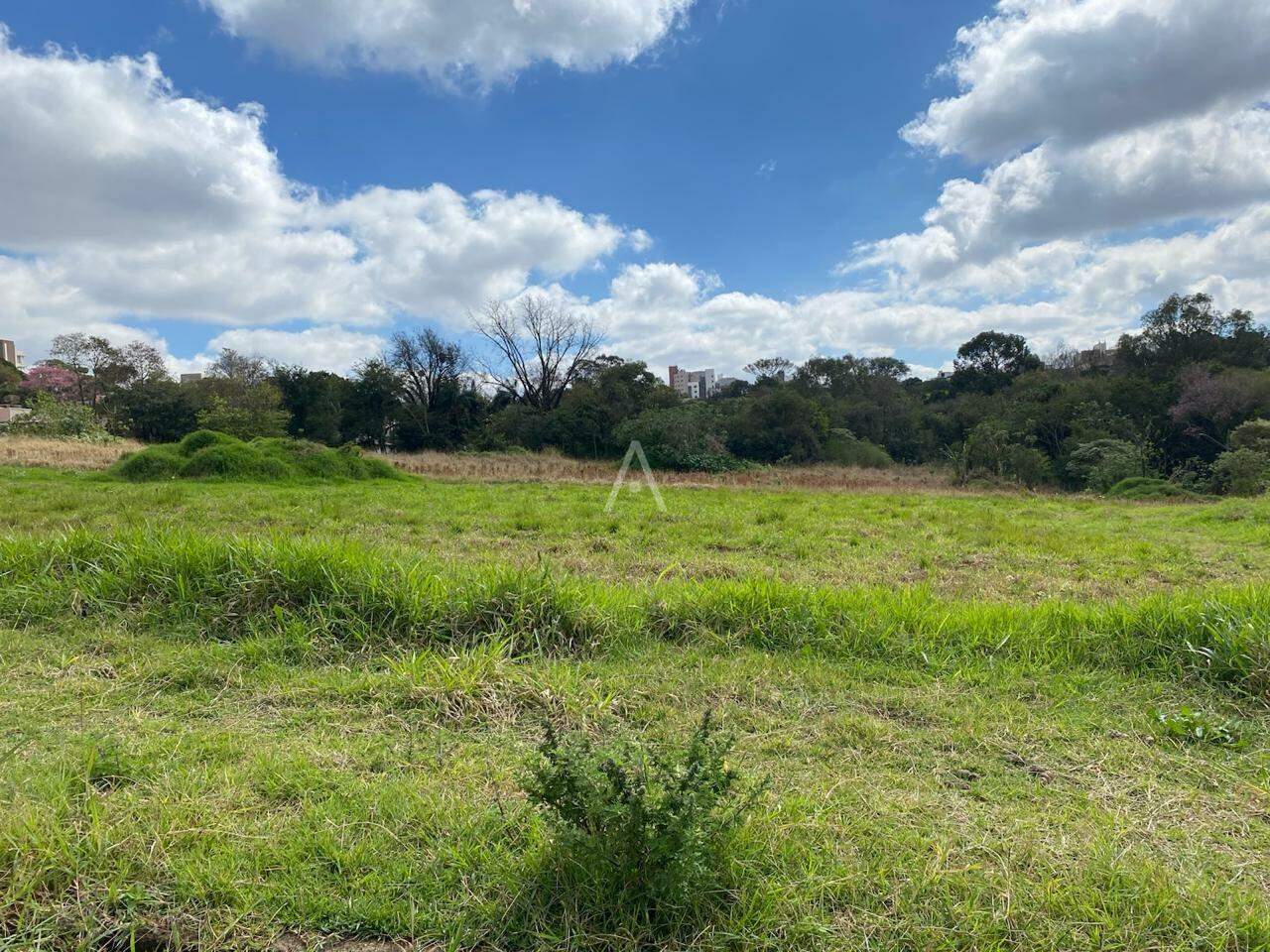 Terreno para à venda no Bairro JARDIM PANCERA em TOLEDO: