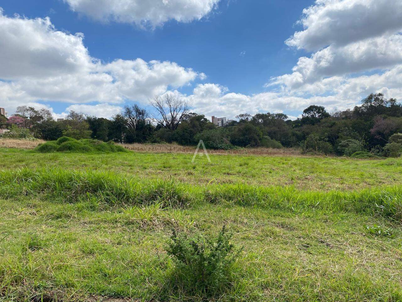Terreno para à venda no Bairro JARDIM PANCERA em TOLEDO: