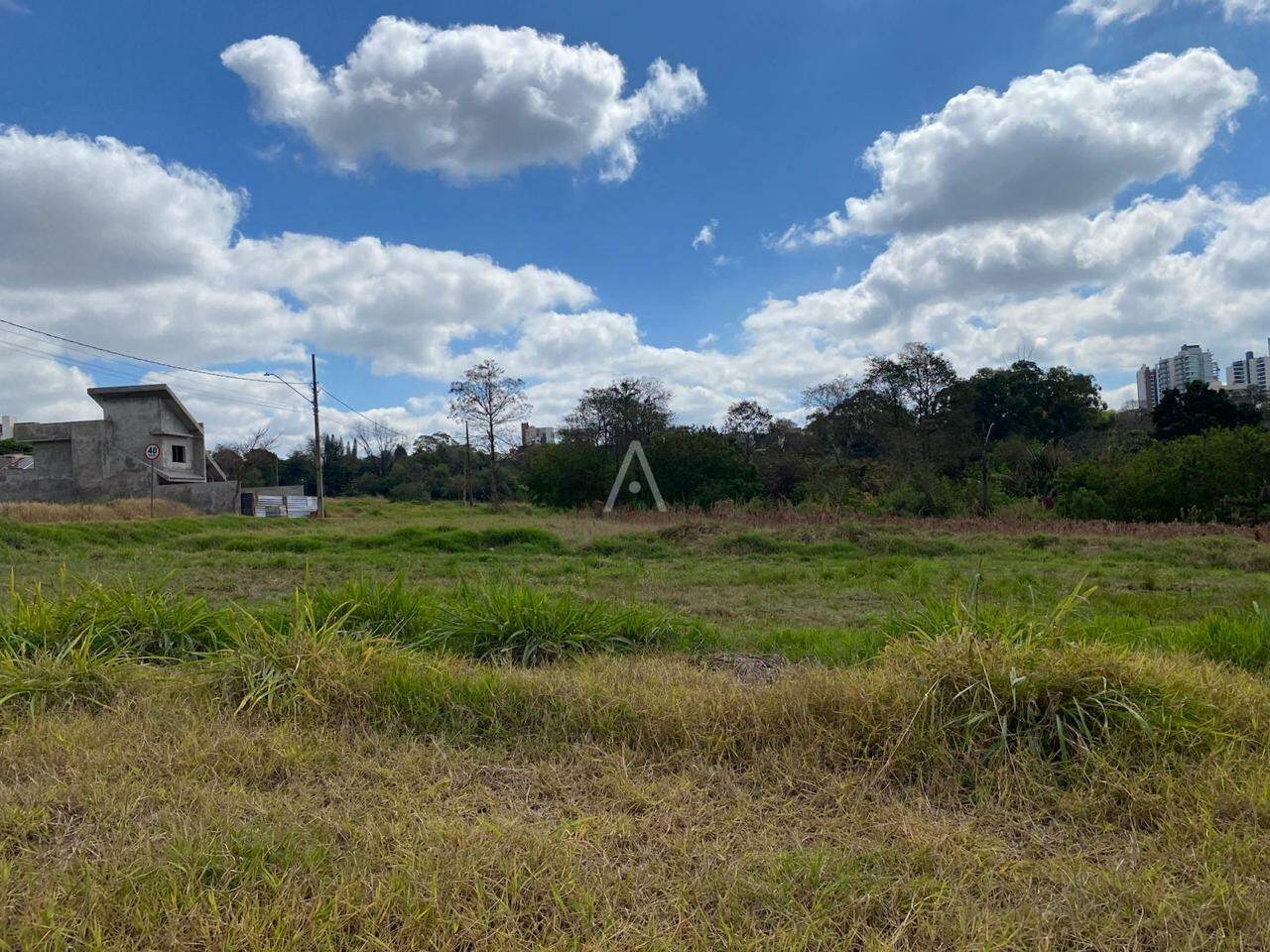 Terreno para à venda no Bairro JARDIM PANCERA em TOLEDO: