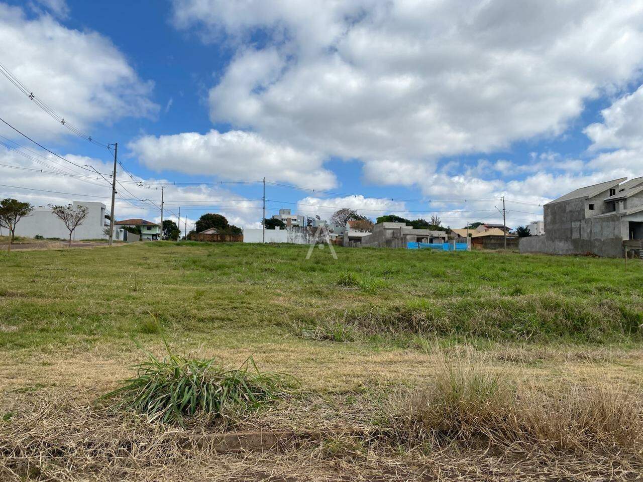 Terreno para à venda no Bairro JARDIM PANCERA em TOLEDO: 