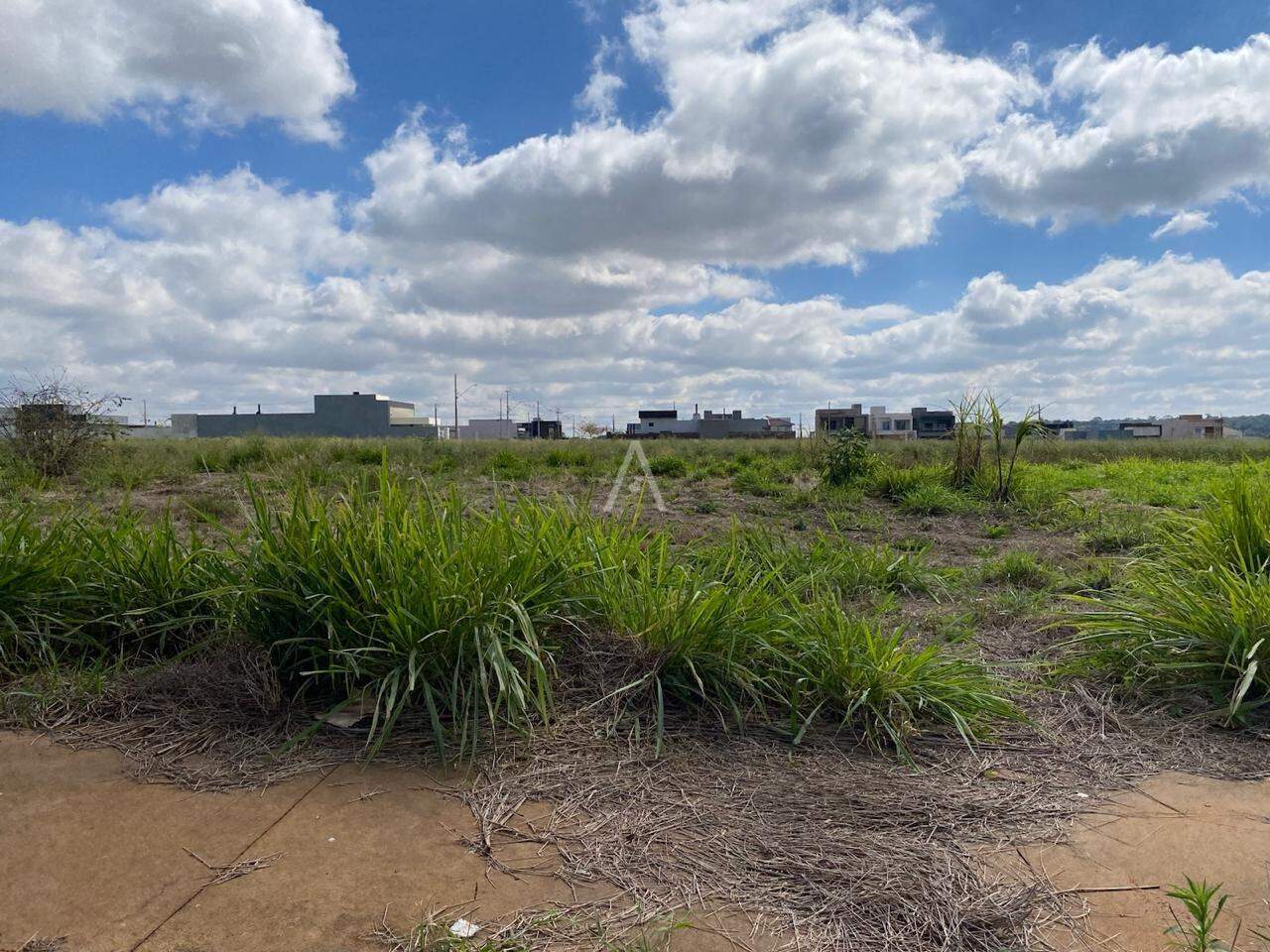 Terreno para à venda no Bairro TOCANTINS em TOLEDO: