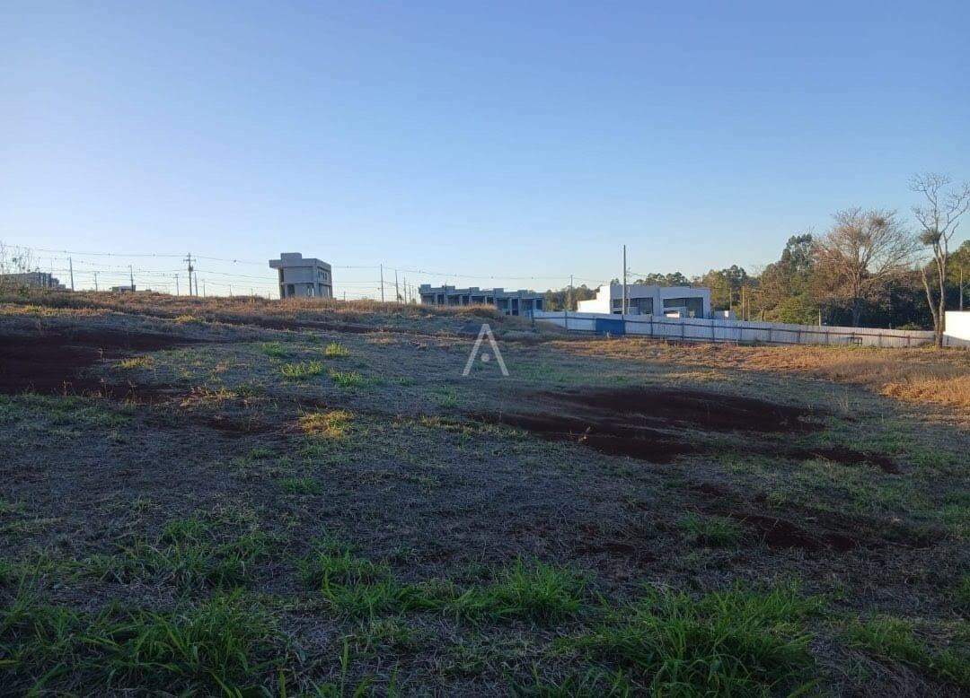 Terreno para à venda no Bairro TOCANTINS em TOLEDO:
