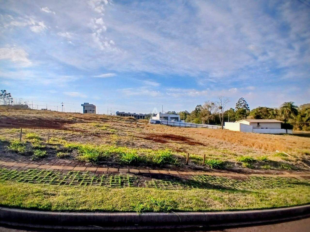 Terreno para à venda no Bairro TOCANTINS em TOLEDO:
