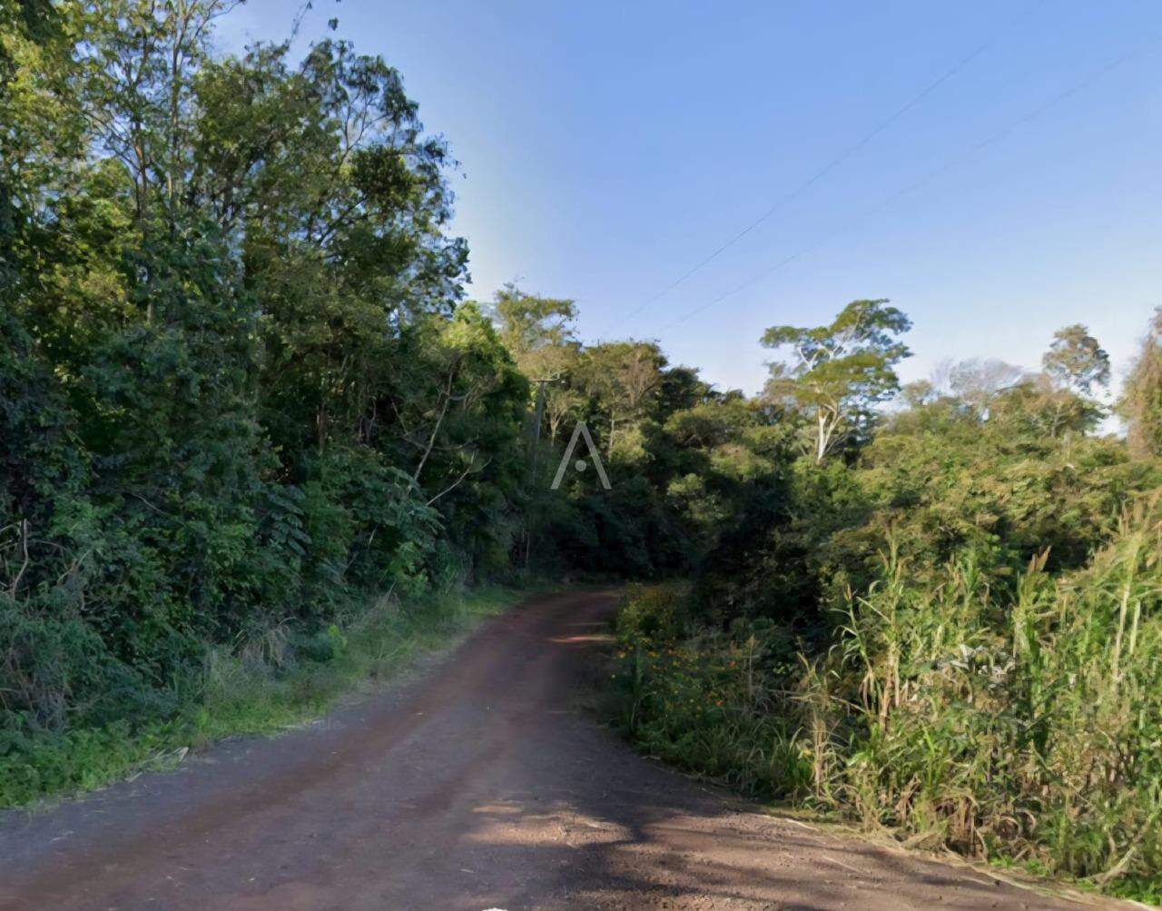Imóveis Rurais para à venda no Bairro Distrito Dois Irmãos em TOLEDO: 
