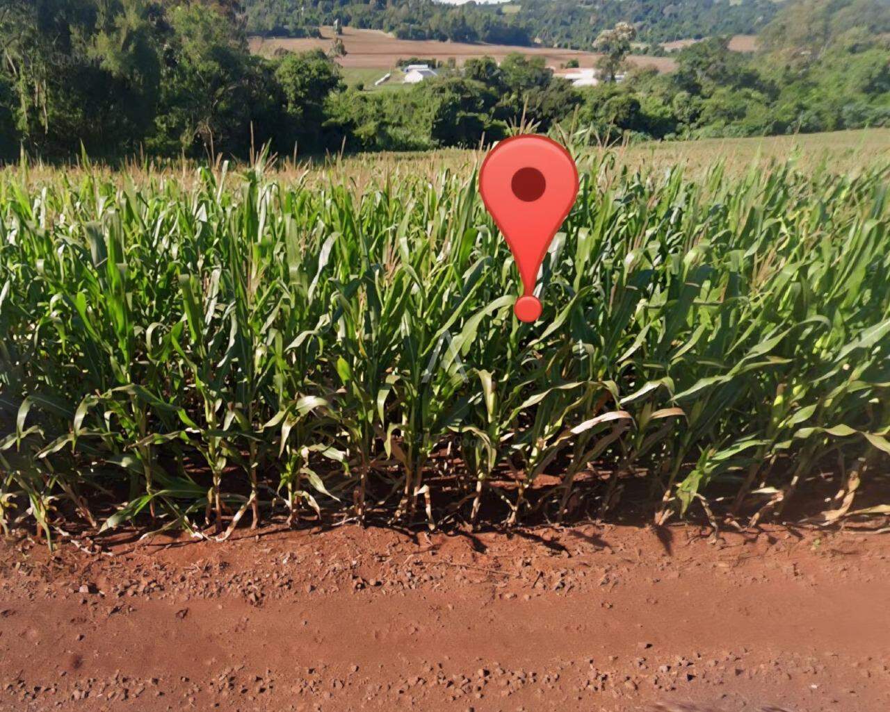 Imóveis Rurais para à venda no Bairro Distrito Dois Irmãos em TOLEDO: 