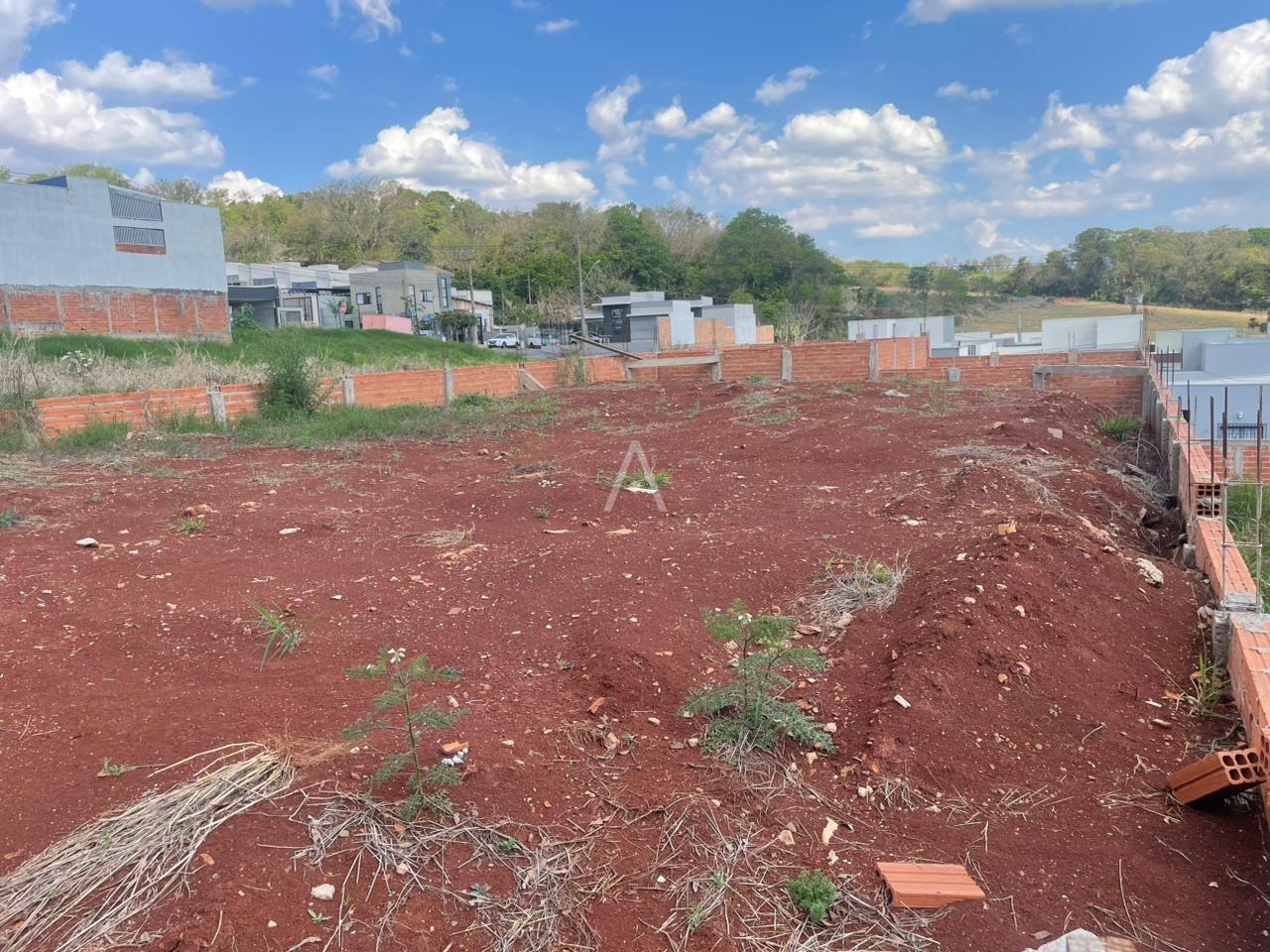 Terreno para à venda no Bairro CASCAVEL VELHO em CASCAVEL: 