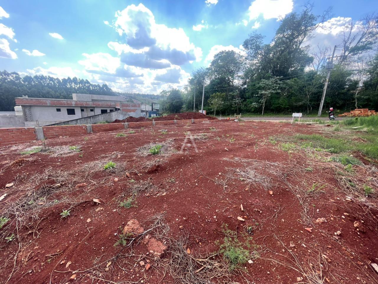 Terreno para à venda no Bairro CASCAVEL VELHO em CASCAVEL: 