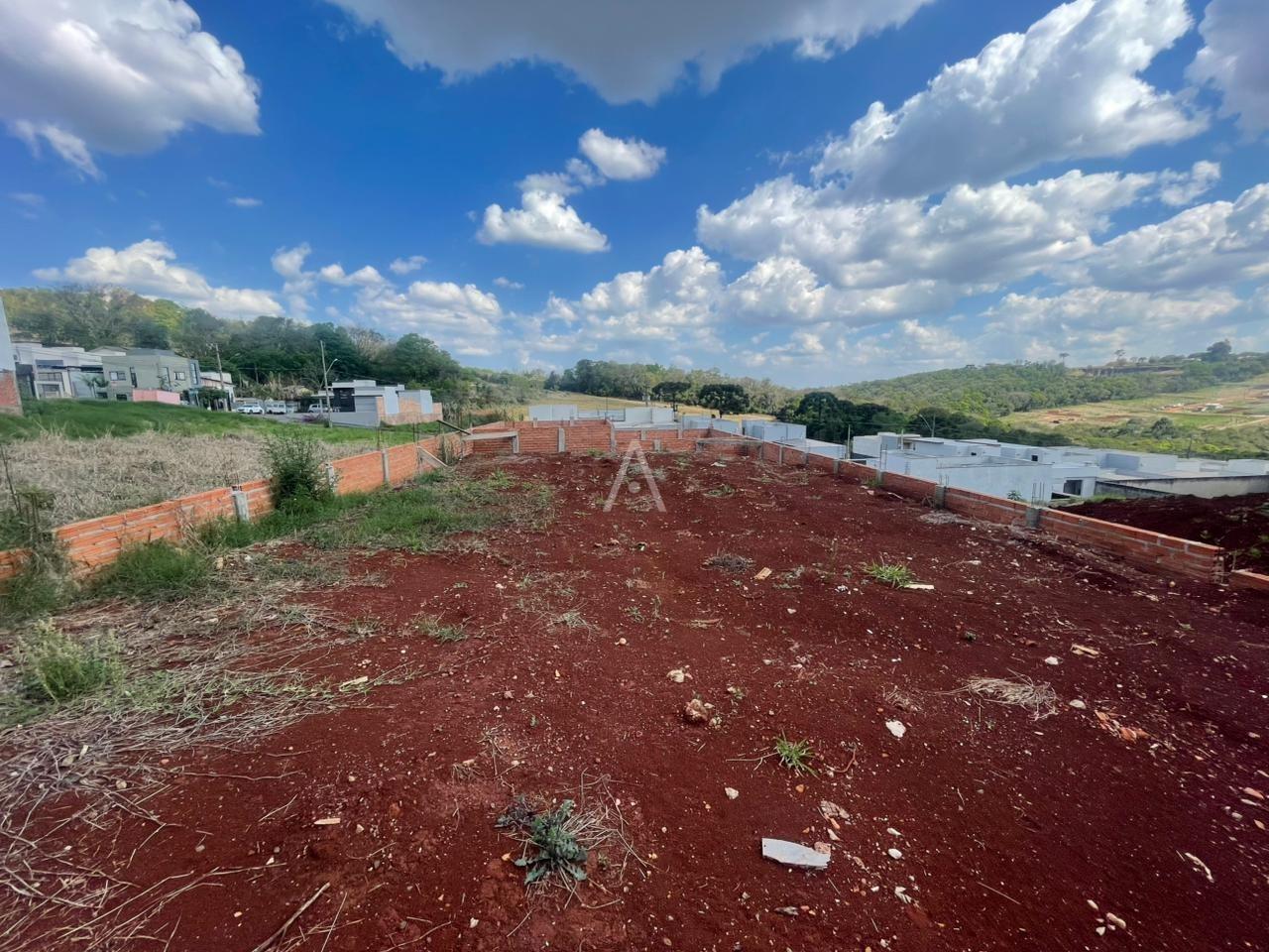 Terreno para à venda no Bairro CASCAVEL VELHO em CASCAVEL: 