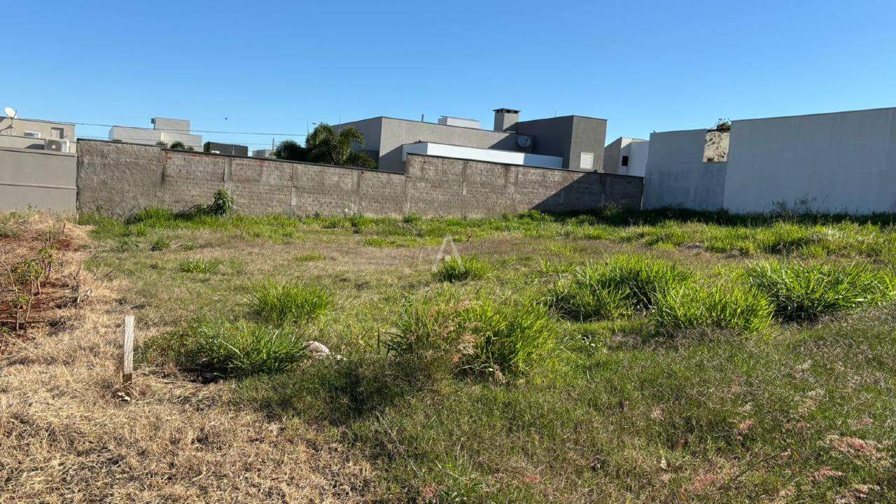 Terreno para à venda no Bairro JARDIM PANCERA em TOLEDO: