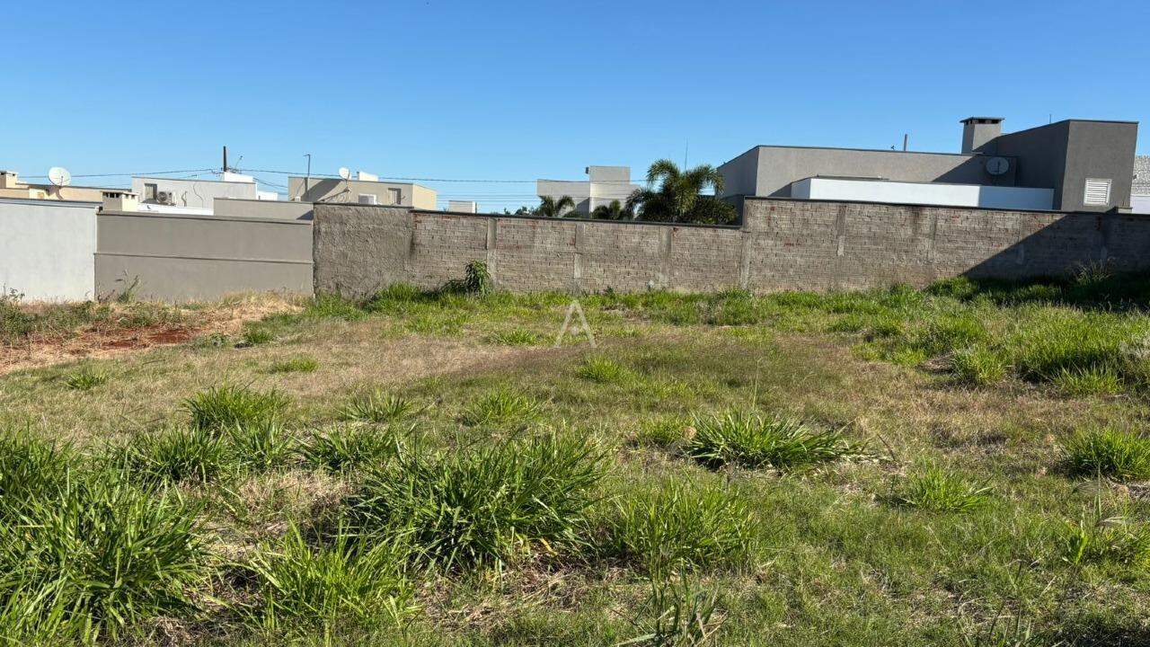 Terreno para à venda no Bairro JARDIM PANCERA em TOLEDO: