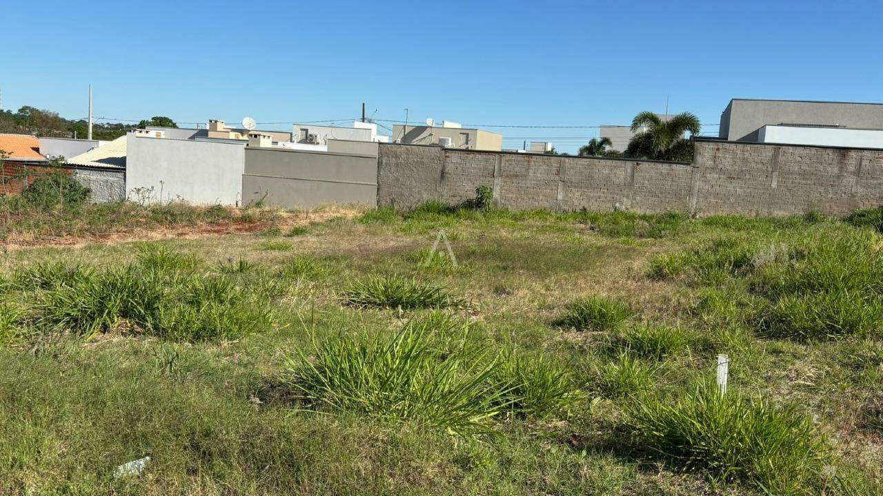 Terreno para à venda no Bairro JARDIM PANCERA em TOLEDO: