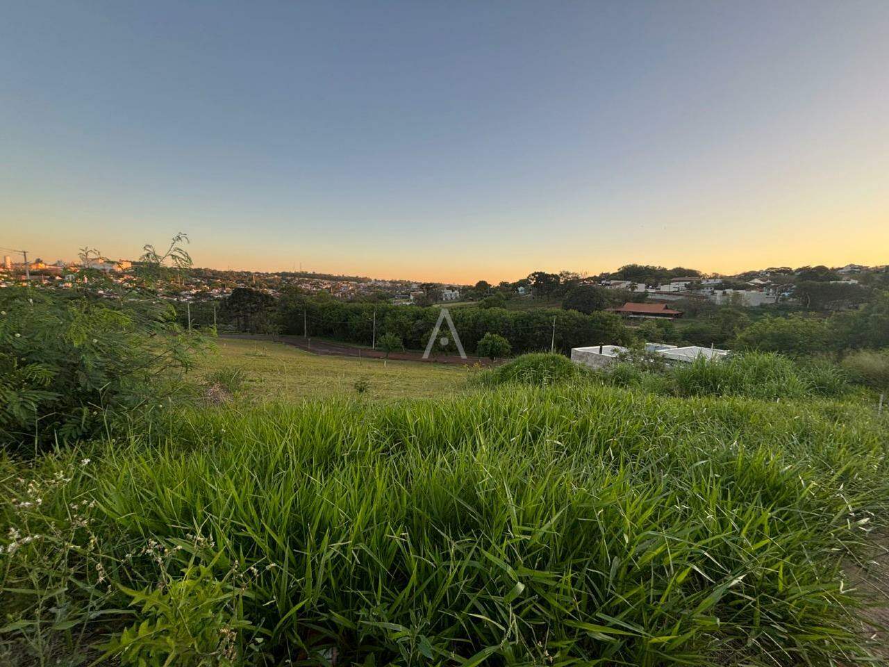 Terreno para à venda no Bairro CENTRO em TOLEDO: 