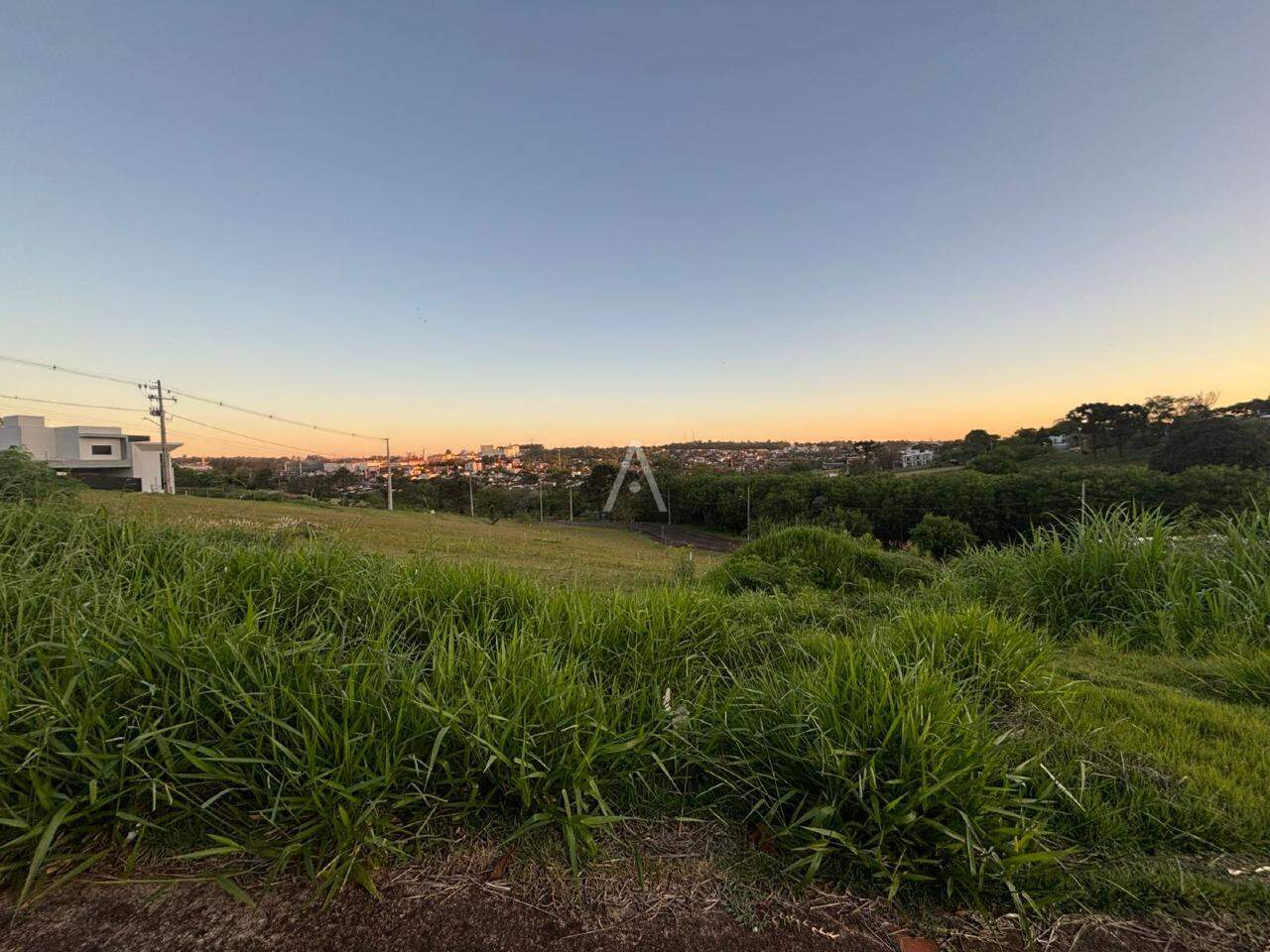 Terreno para à venda no Bairro CENTRO em TOLEDO: 