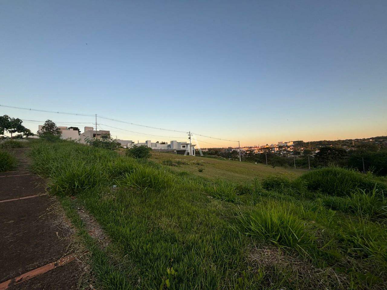 Terreno para à venda no Bairro CENTRO em TOLEDO: 