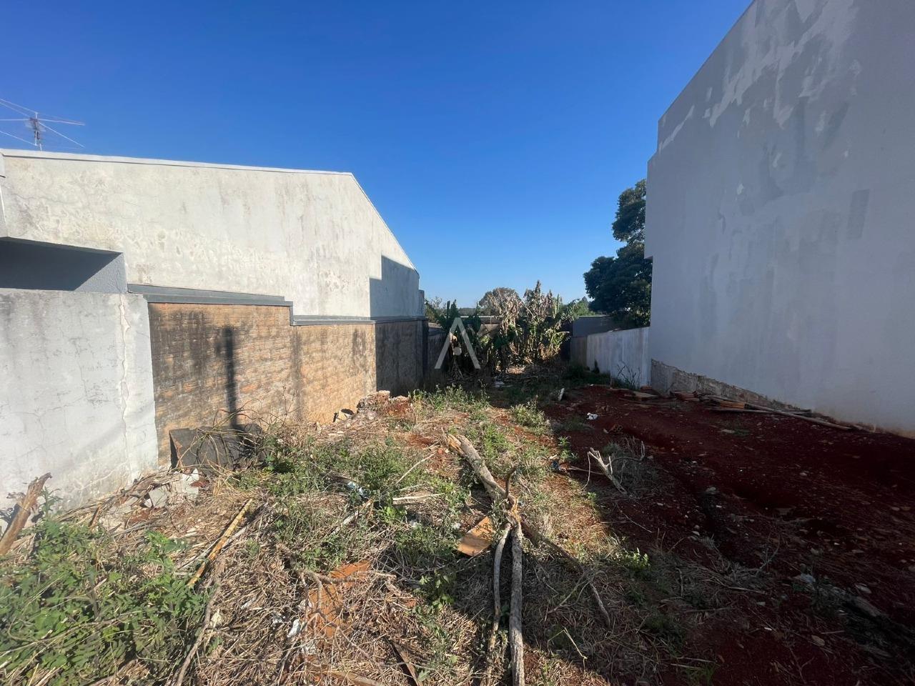 Terreno para à venda no Bairro UNIVERSITARIO em CASCAVEL: 