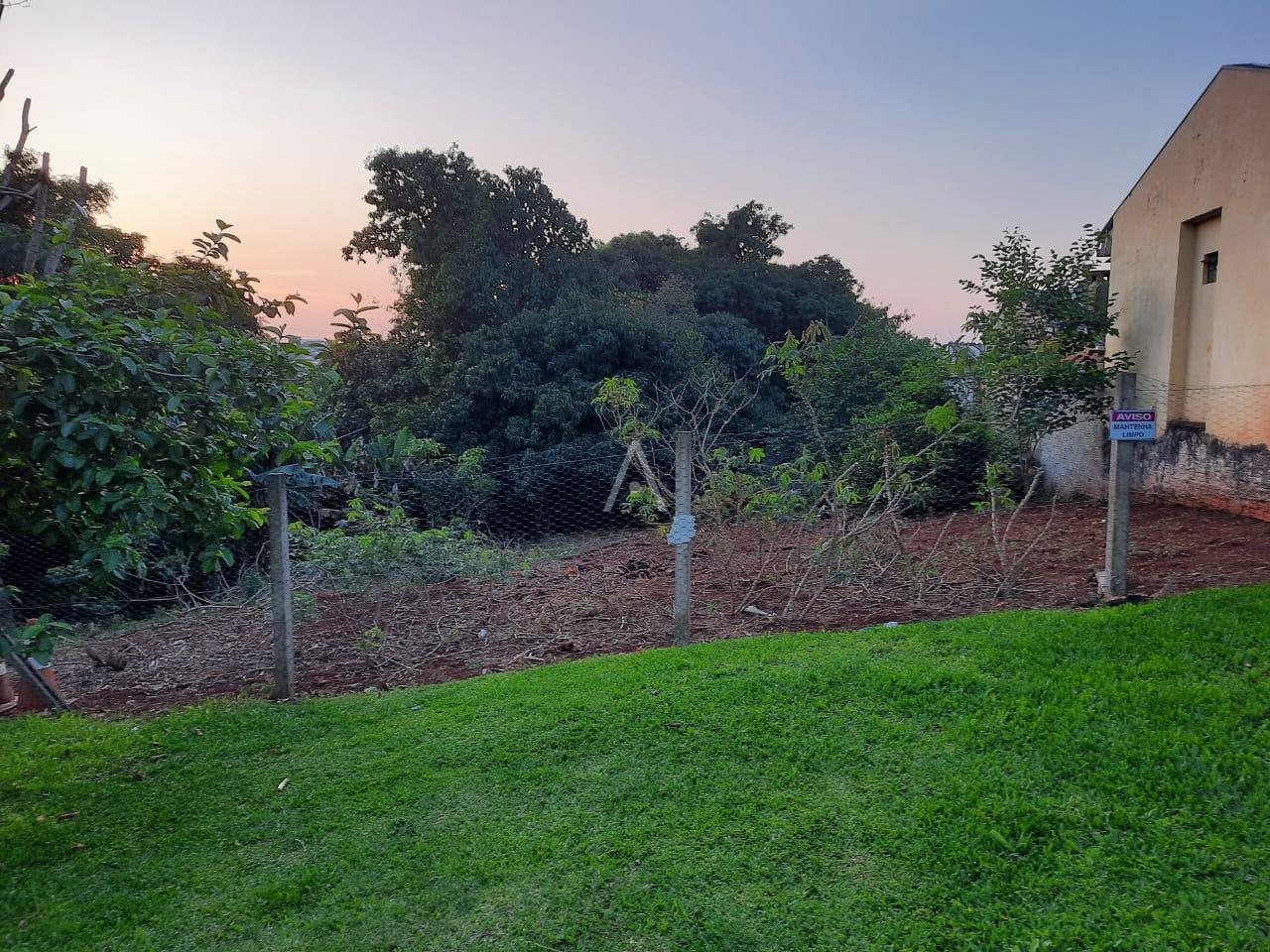 Terreno para à venda no Bairro ALTO ALEGRE em CASCAVEL: 