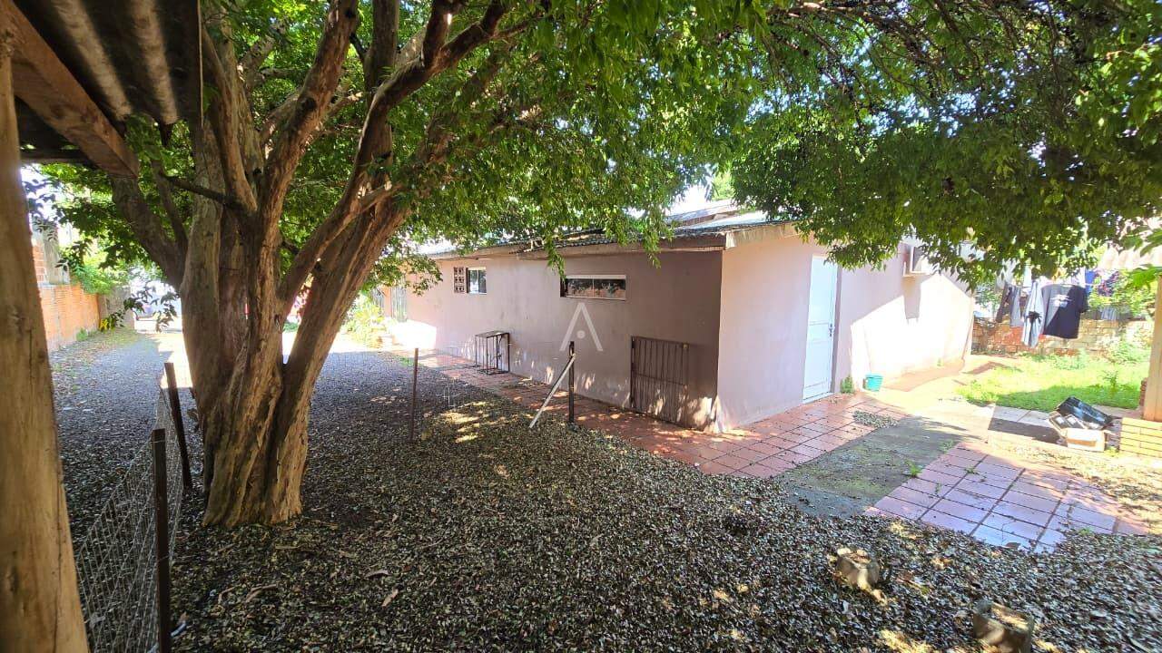 Terreno para à venda no Bairro CENTRO em TOLEDO: