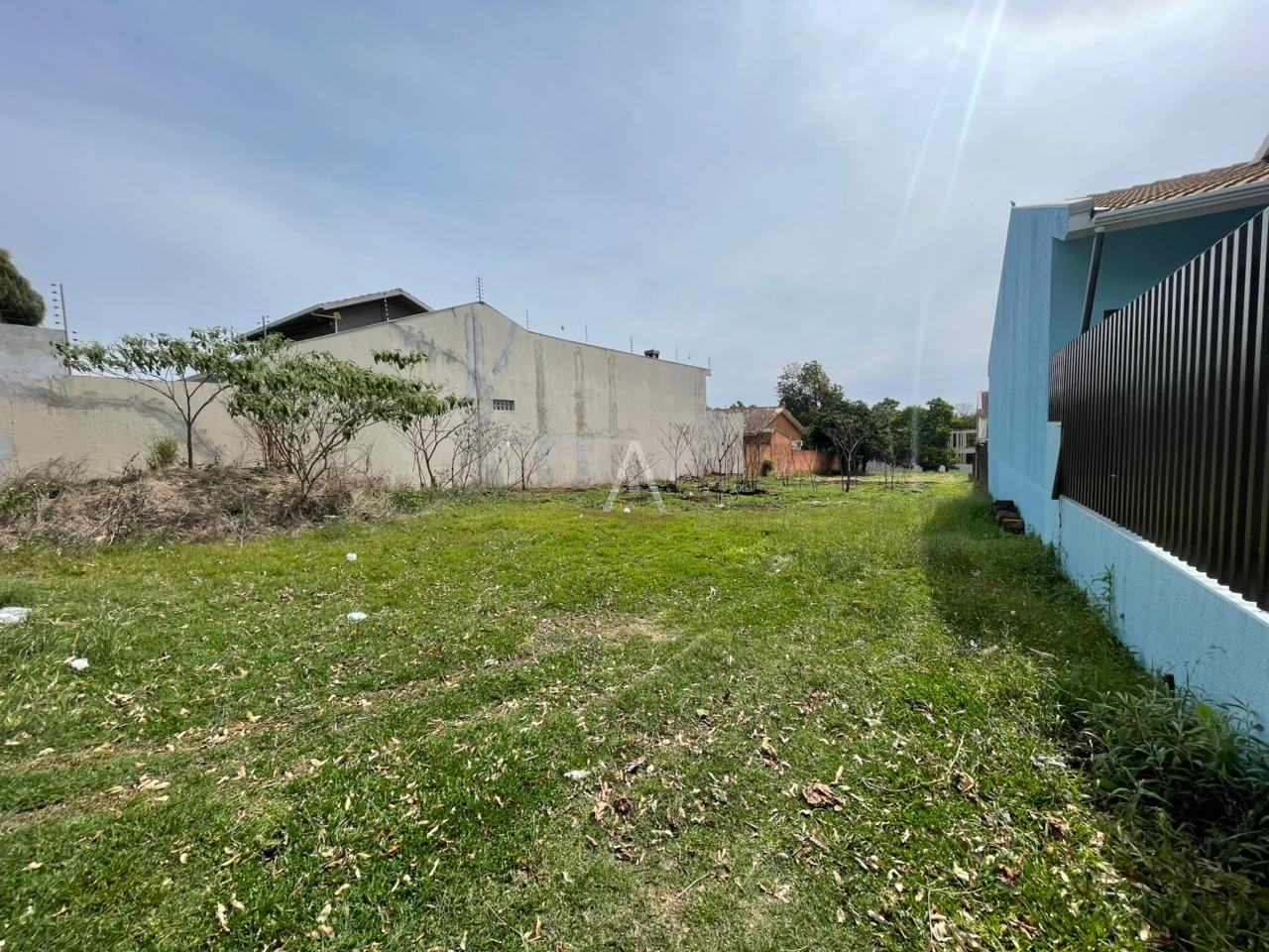 Terreno para à venda no Bairro COQUEIRAL em CASCAVEL: 