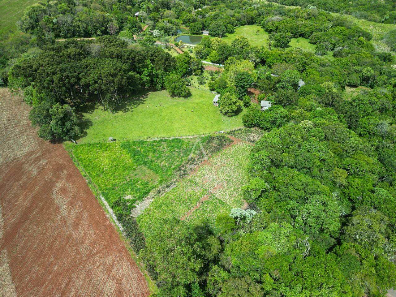 Terreno para à venda no Bairro Área Rural de Cascavel em CASCAVEL: 