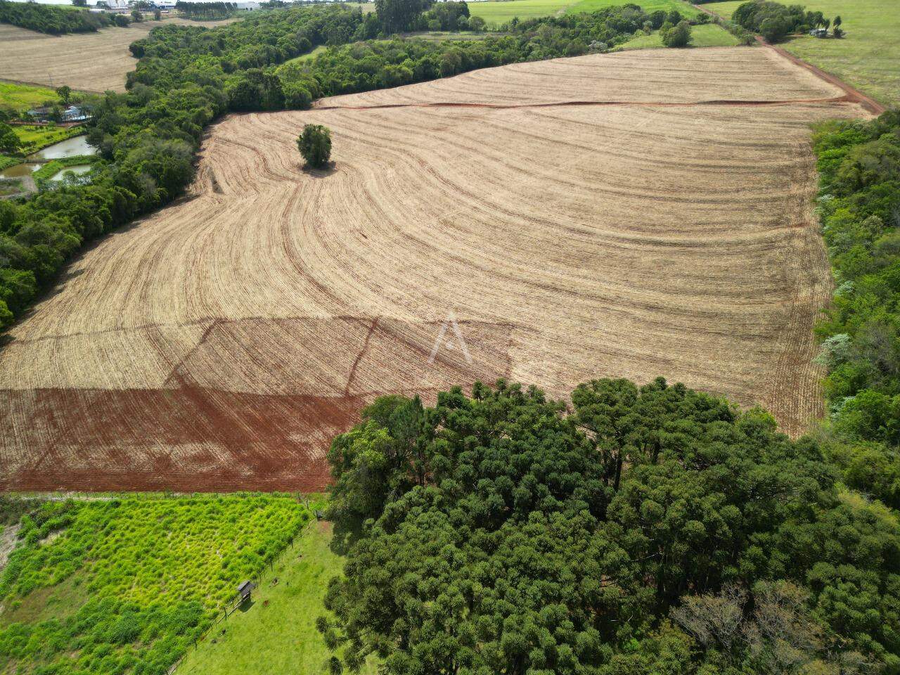 Terreno para à venda no Bairro Área Rural de Cascavel em CASCAVEL: 