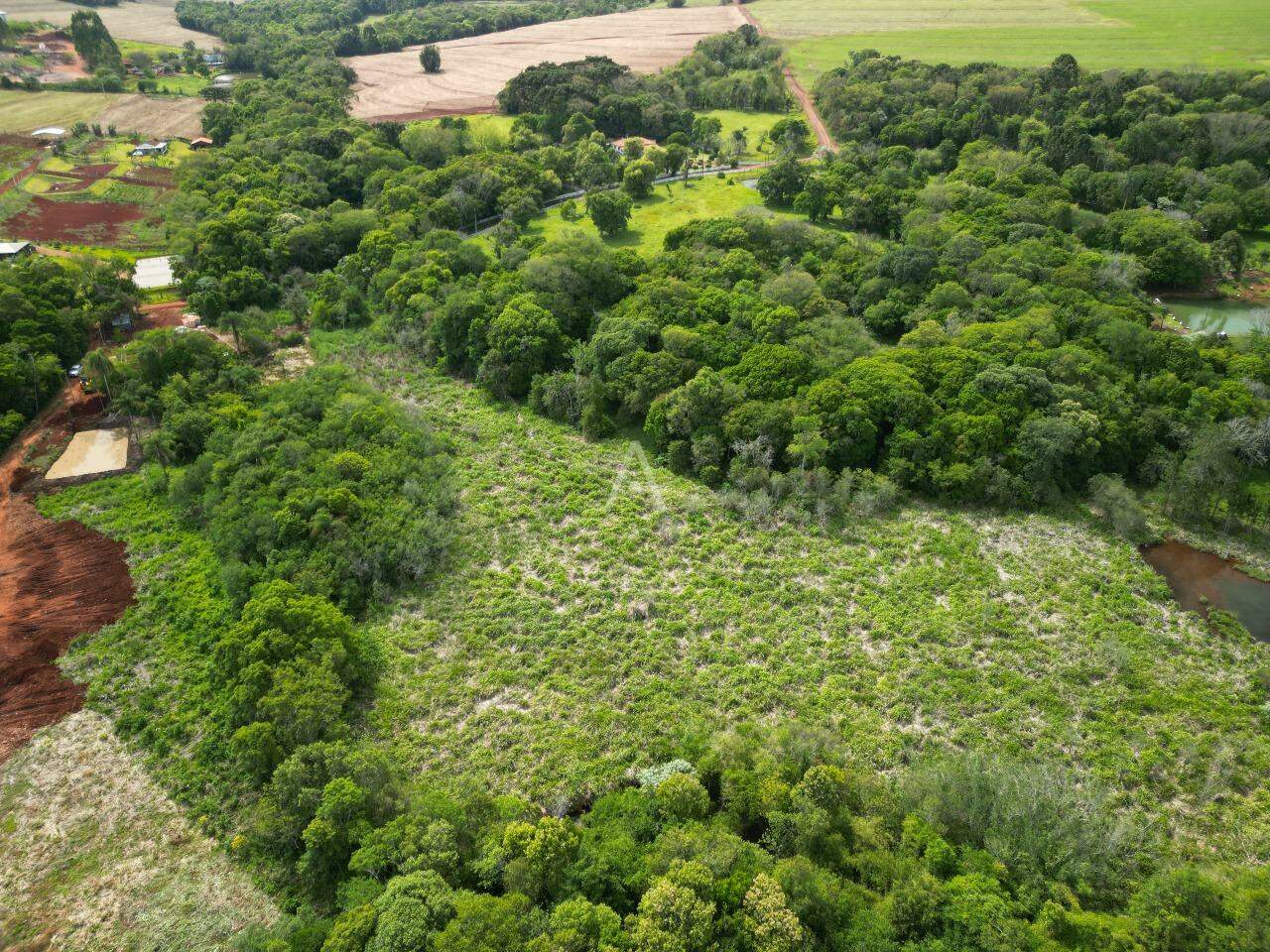 Terreno para à venda no Bairro Área Rural de Cascavel em CASCAVEL: 