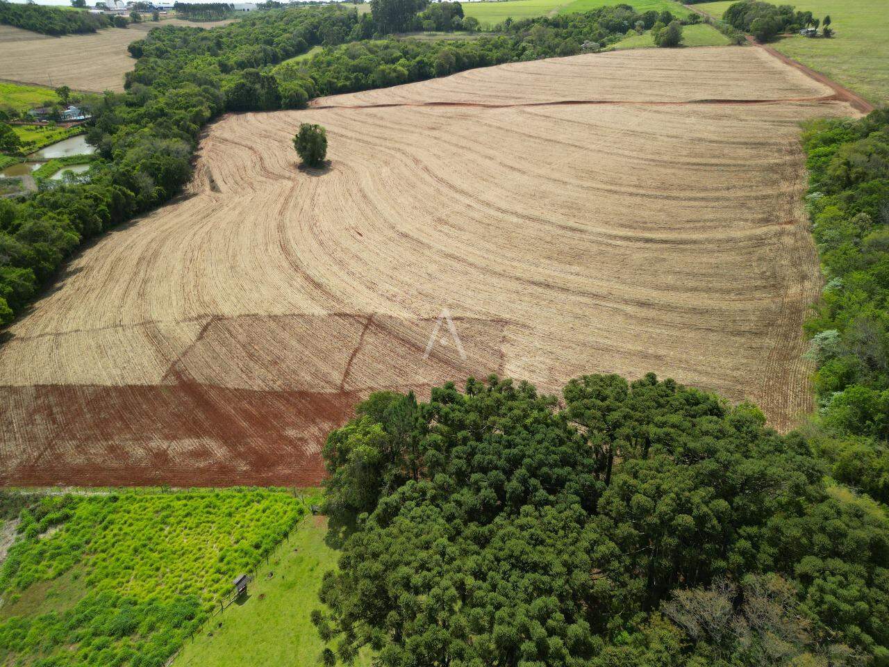 Terreno para à venda no Bairro Área Rural de Cascavel em CASCAVEL: 