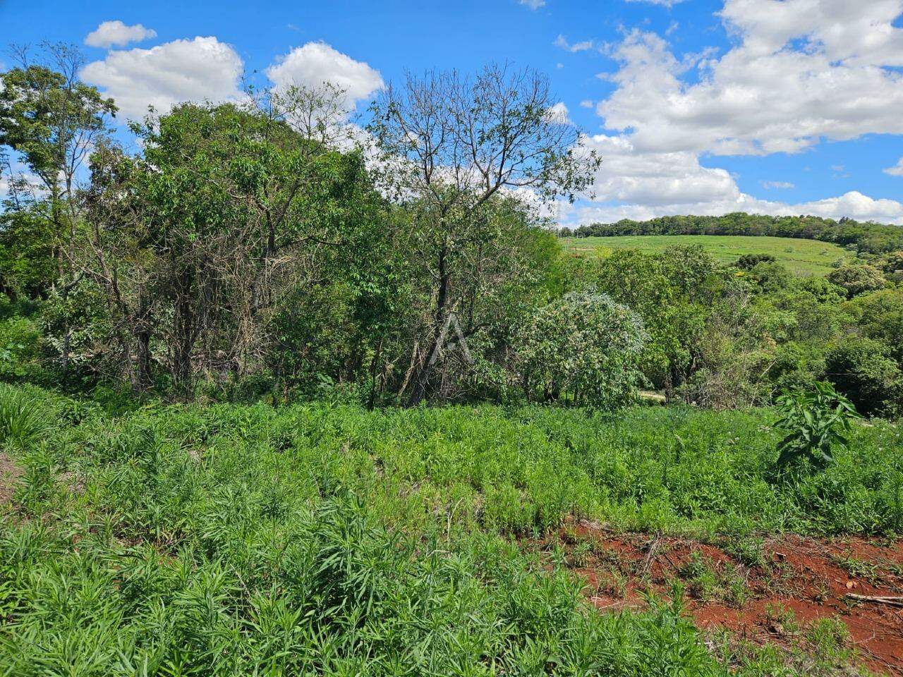 Terreno para à venda no Bairro UNIVERSITARIO em CASCAVEL: 