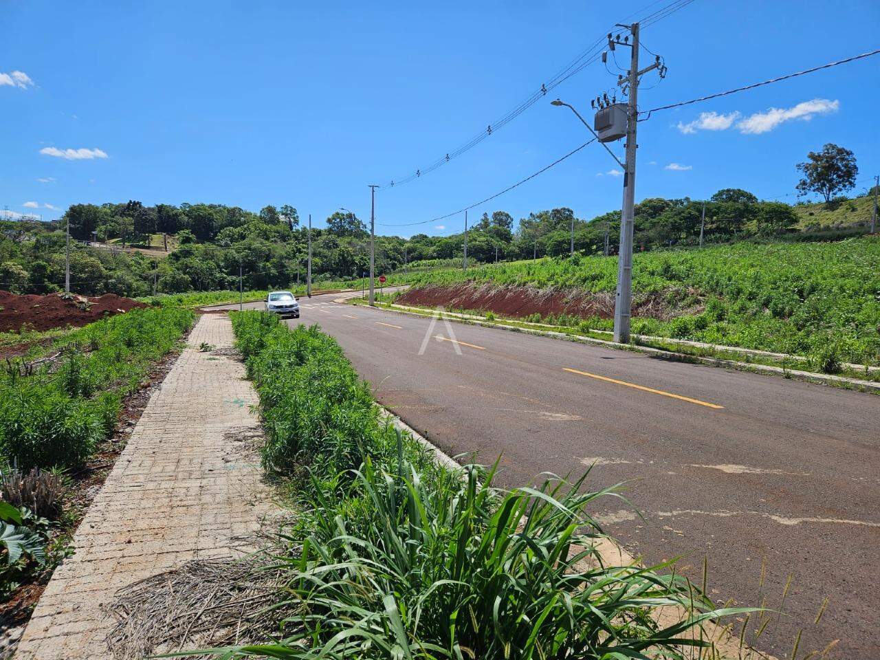Terreno para à venda no Bairro UNIVERSITARIO em CASCAVEL: 