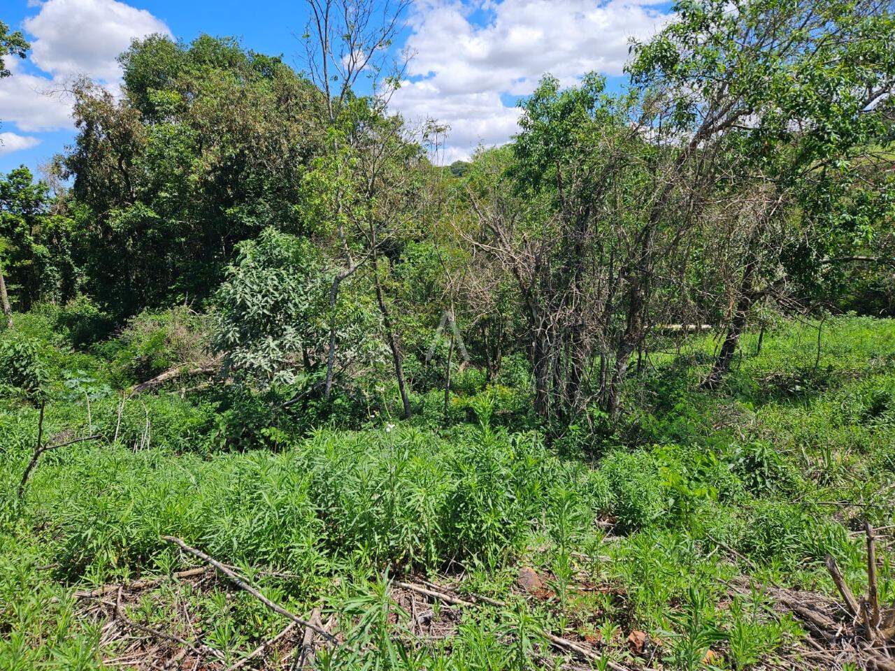 Terreno para à venda no Bairro UNIVERSITARIO em CASCAVEL: 