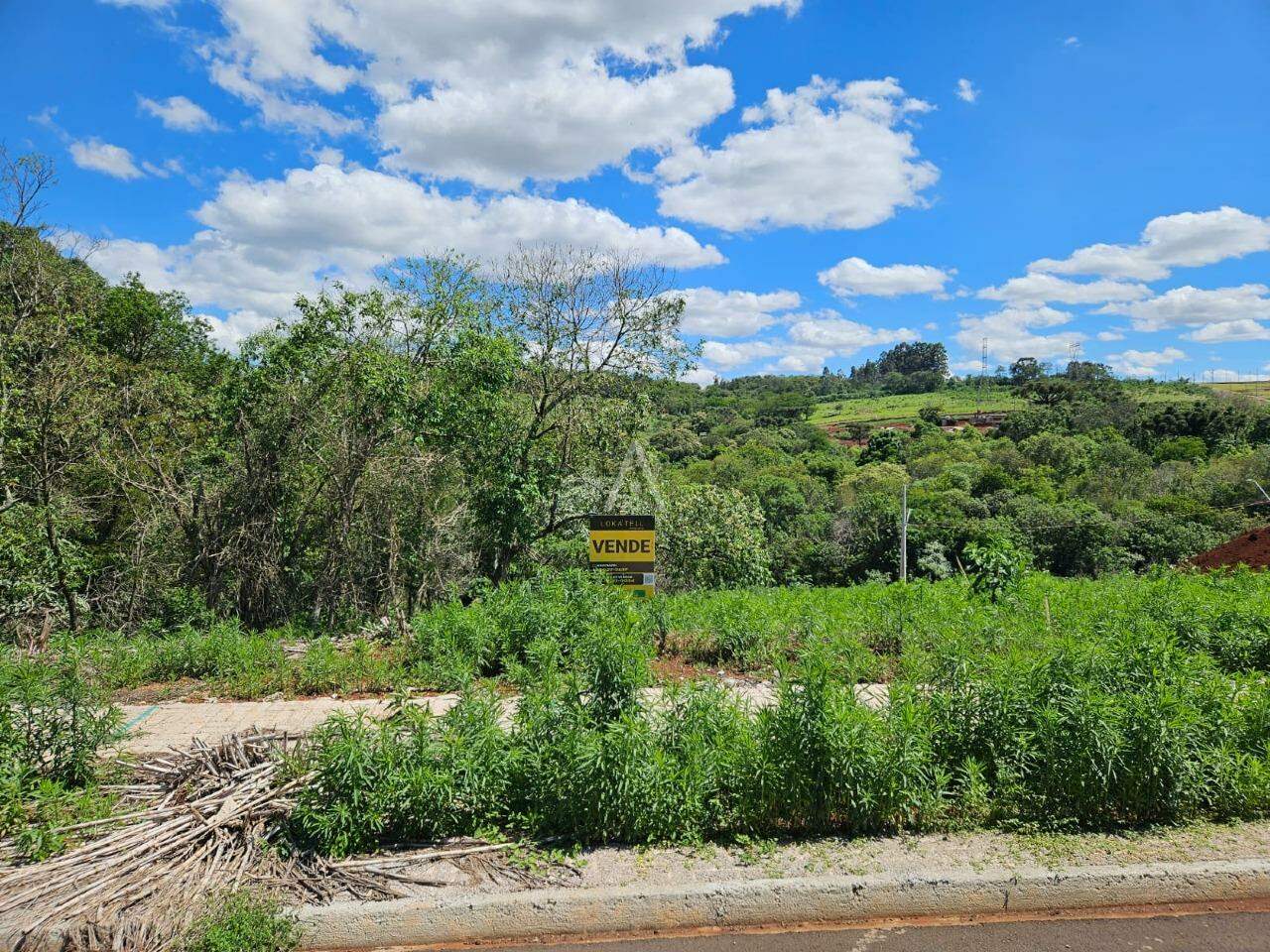 Terreno para à venda no Bairro UNIVERSITARIO em CASCAVEL: 
