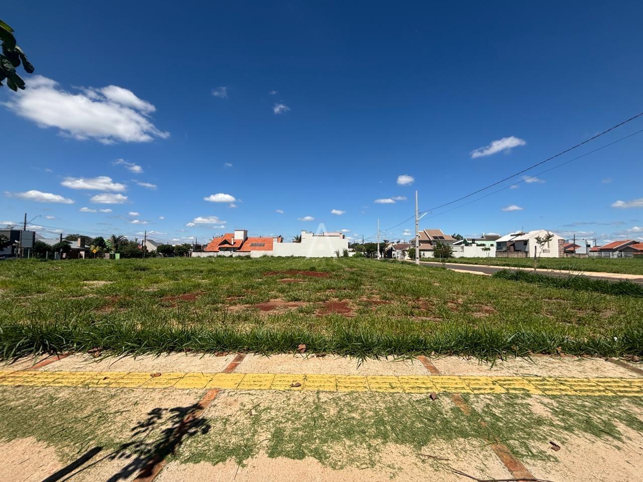 Terreno para à venda no Bairro JARDIM ANAPOLIS em TOLEDO: 