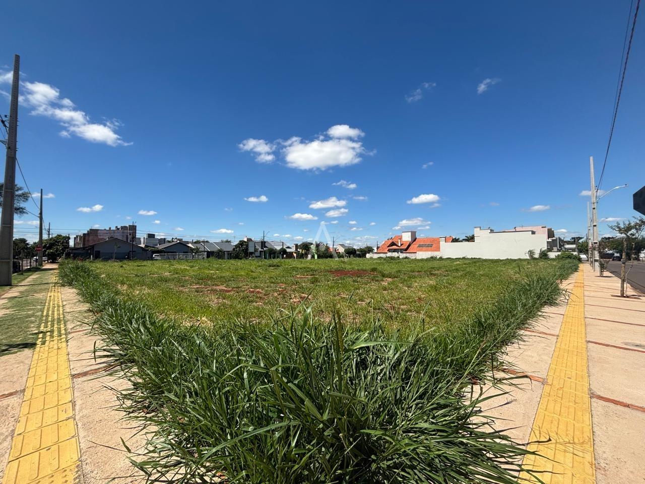 Terreno para à venda no Bairro JARDIM ANAPOLIS em TOLEDO: 