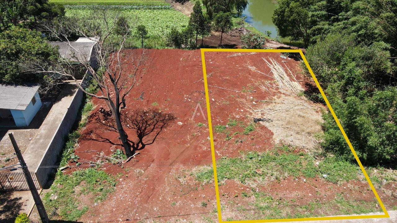 Terreno para à venda no Bairro SANTA CRUZ em CASCAVEL: 