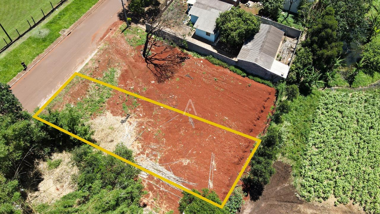 Terreno para à venda no Bairro SANTA CRUZ em CASCAVEL: 