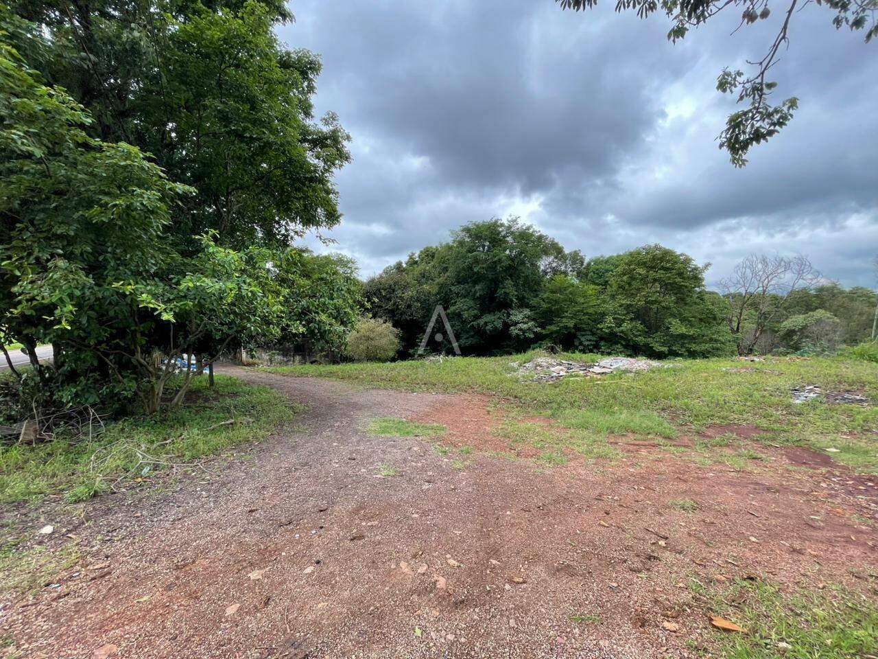Terreno para à venda no Bairro SANTA FELICIDADE em CASCAVEL: 