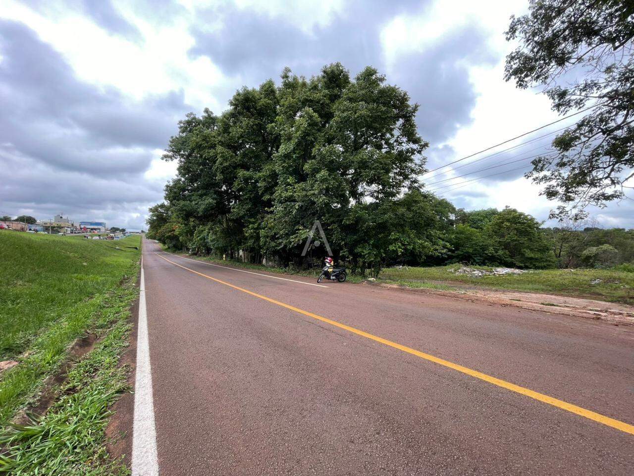 Terreno para à venda no Bairro SANTA FELICIDADE em CASCAVEL: 