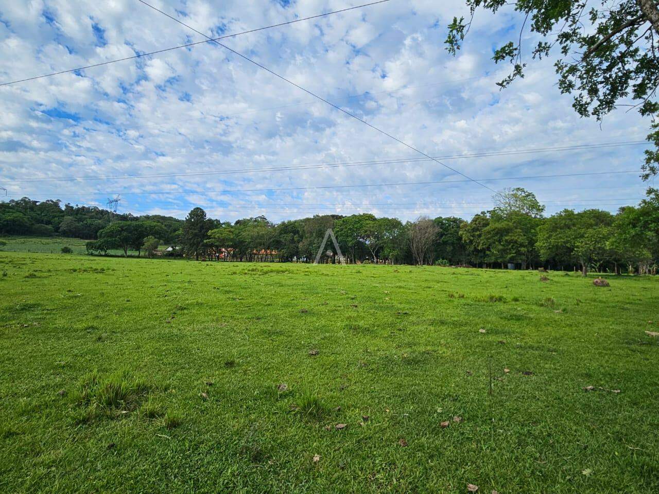 Imóveis Rurais para à venda no Bairro SAO SALVADOR em CASCAVEL:
